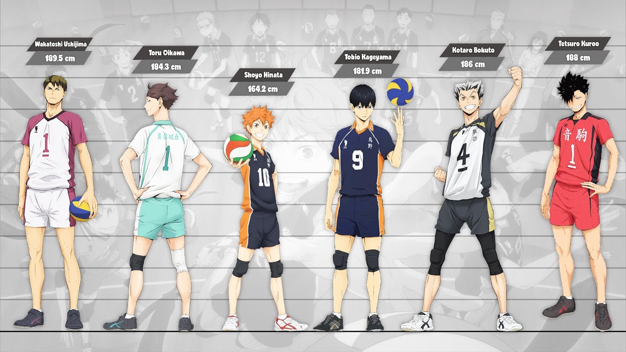 Featured image of post Haikyuu Heights In Feet