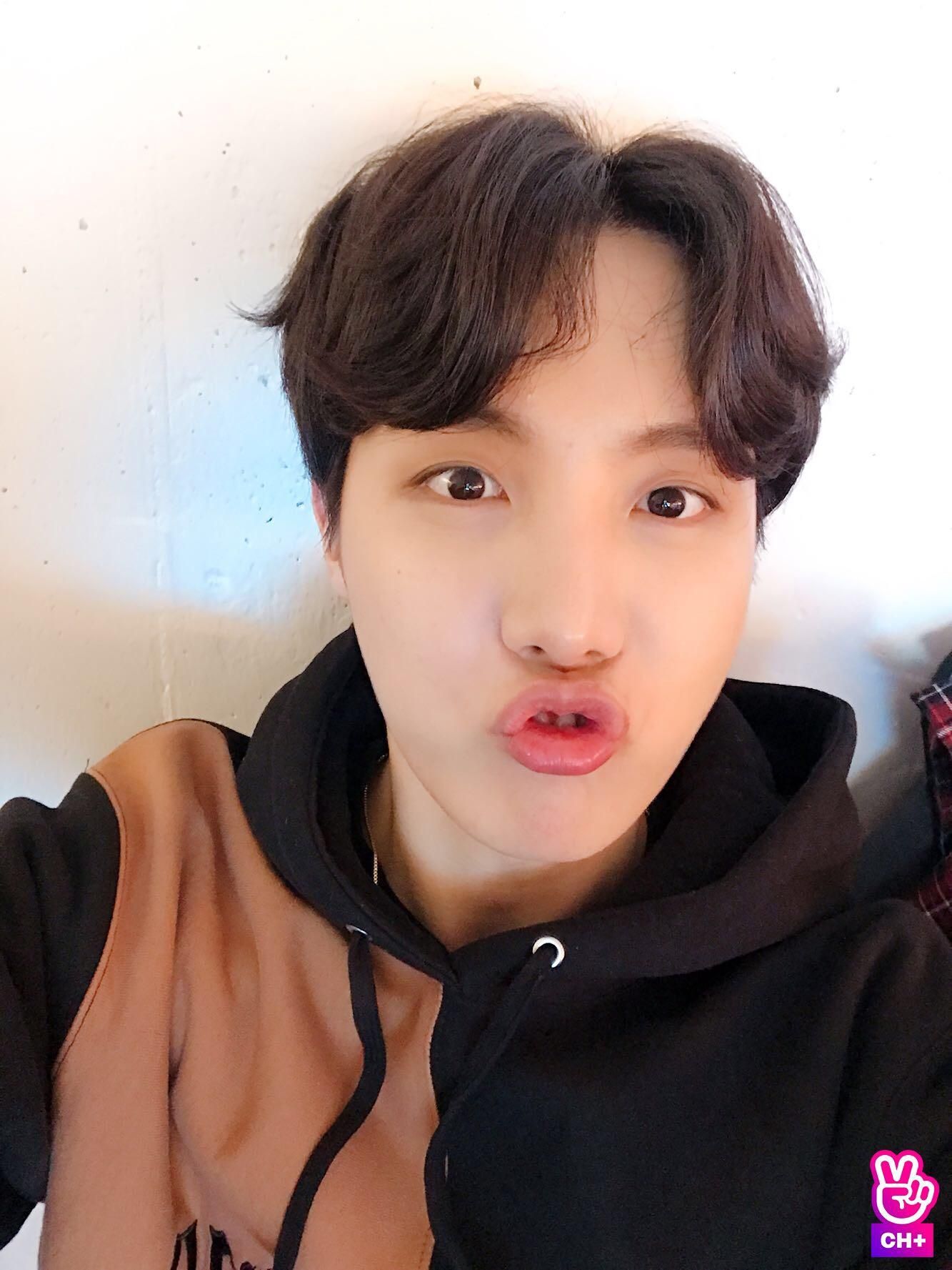 Featured image of post Jhope Bts Selcas